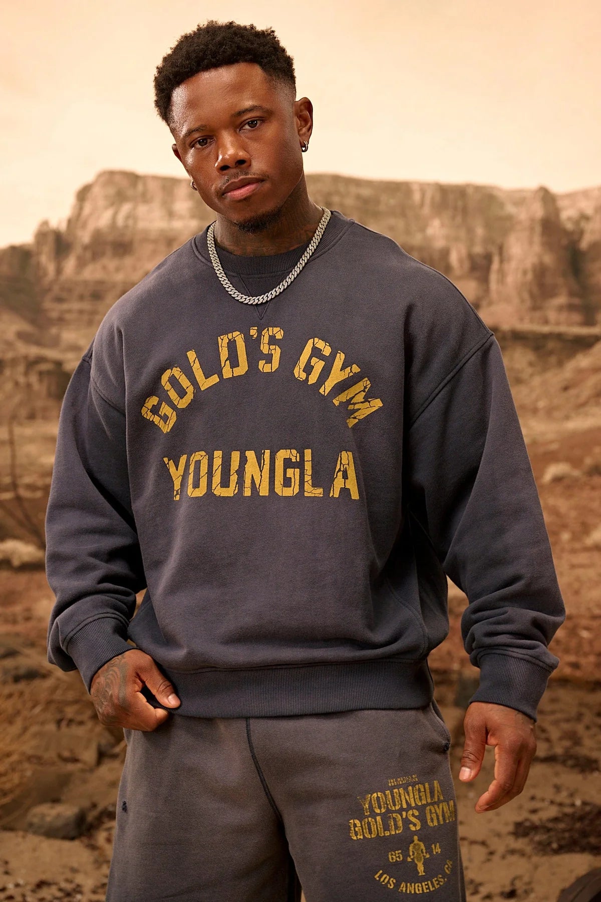 5166 - GOLD'S IRON LEGACY VINTAGE CREWNECKS