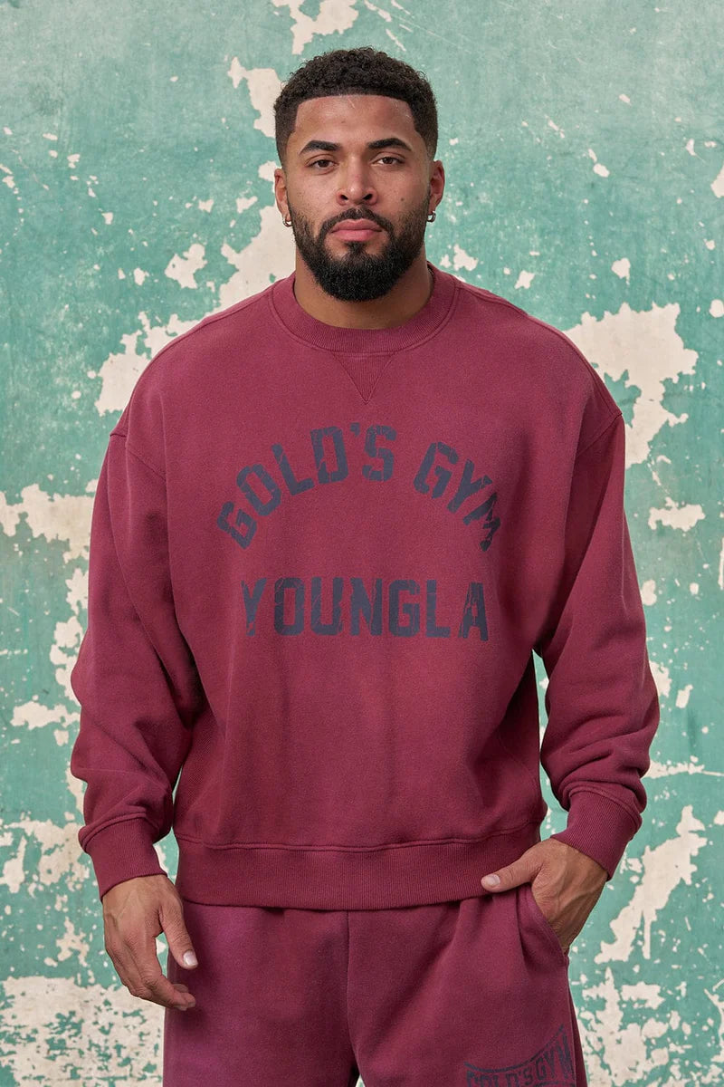 5166 - GOLD'S IRON LEGACY VINTAGE CREWNECKS