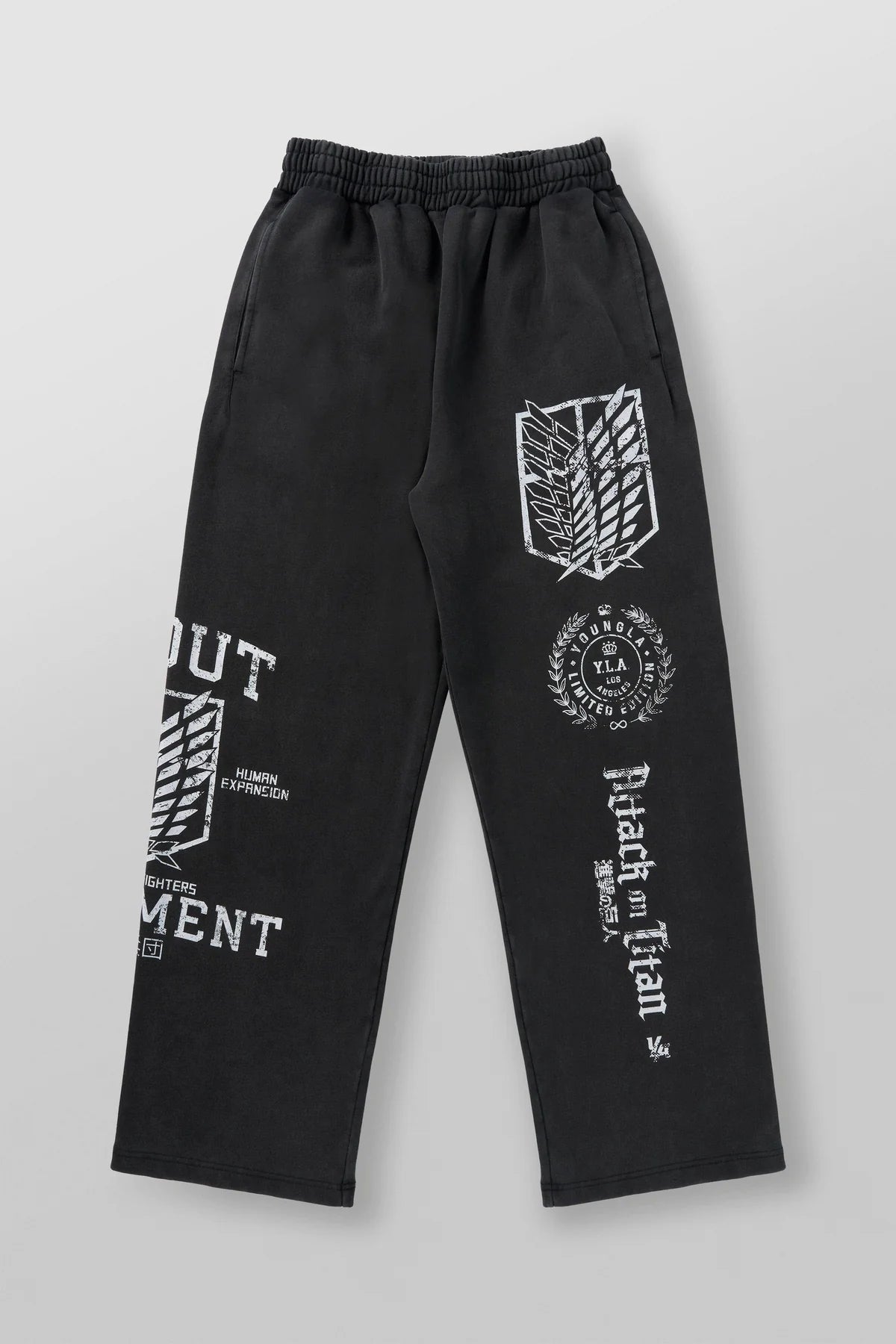 2128 - AOT© X YLA BAGGY JOGGERS [REGIMENT FREEDOM]